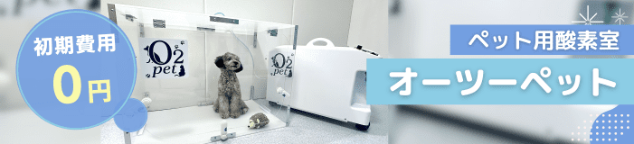 スマホ向けキャンペーン