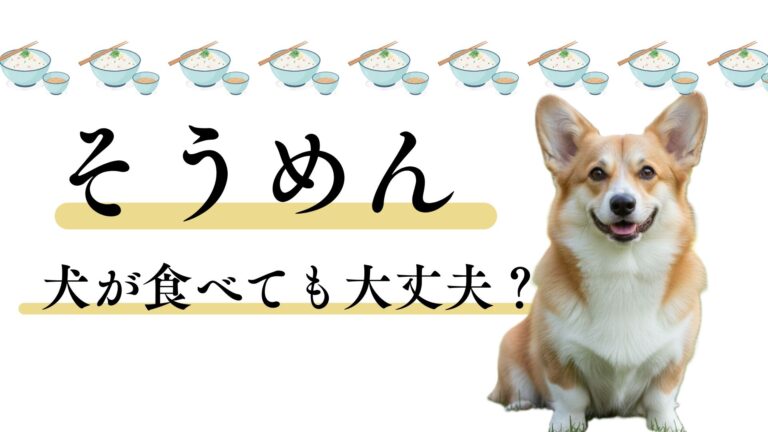 【決定版】犬の名前で「珍しい・おしゃれ」なアイデア200選!二文字・三文字別、後悔しない選び方 – ペットスポット
