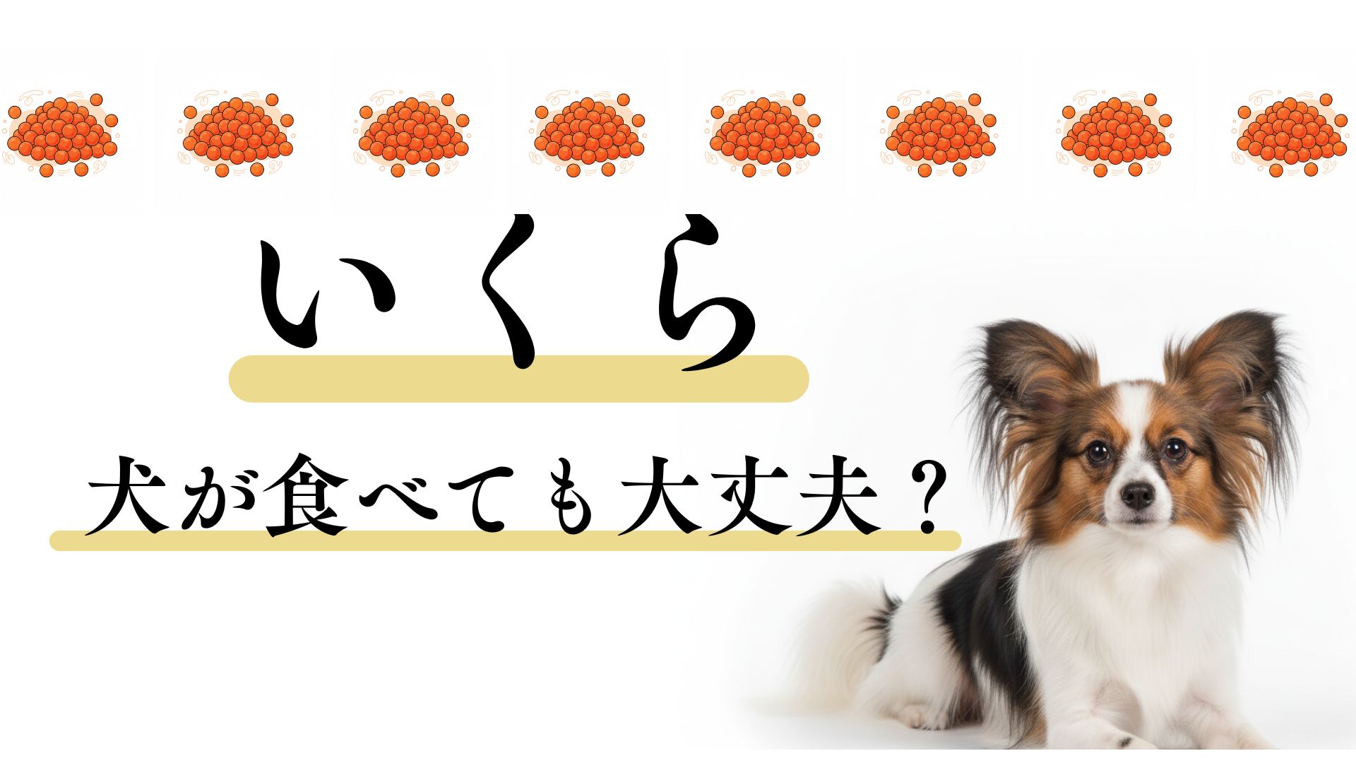 【決定版】犬の名前で「珍しい・おしゃれ」なアイデア200選!二文字・三文字別、後悔しない選び方 – ペットスポット